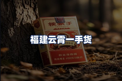 福建云霄一手货